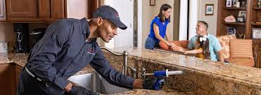 Real Estate Pest Inspections in Tigard, OR